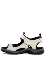 Ecco Offroad