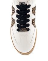 Steve Madden Degree