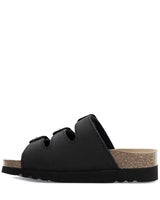 Scholl Rio