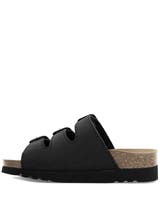 Scholl Rio