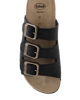 Scholl Rio