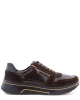 Ara Brun
