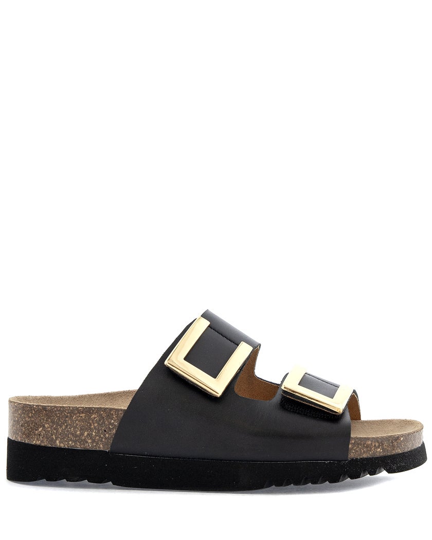 Scholl Monterey
