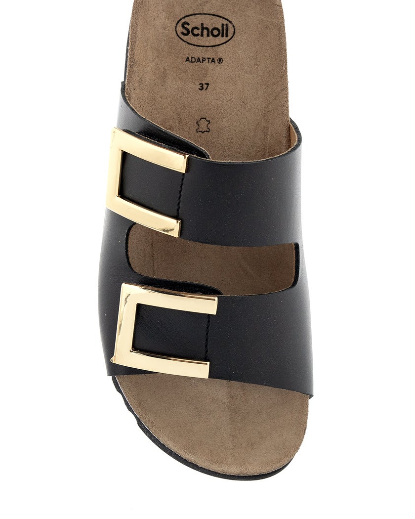 Scholl Monterey